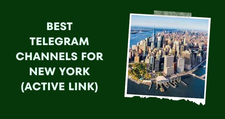 99+ Best New York Telegram Group Link (Oct 2023)