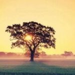 Morning Motivation - Real Telegram