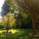 Nick’s art gallery - Real Telegram