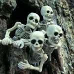 The Zone of Bones - Real Telegram