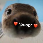 Cute Happy Stuffs - Real Telegram