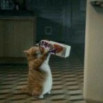 Spill the beans - Real Telegram