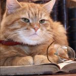 CBSE Class 12 PCMB+English Notes (by AK-47) - Real Telegram