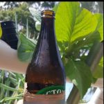 Vegemight - Real Telegram