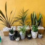 House of Handmade - Real Telegram