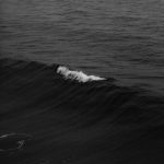 Serenity - Real Telegram