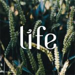 Travel life - Real Telegram