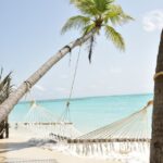 World Travel Agency - Real Telegram