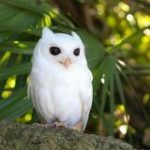 #DID U KNOW️!? - Real Telegram