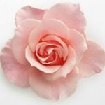 Flower - Real Telegram