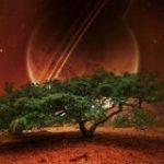 NS| NatureSpace - Real Telegram