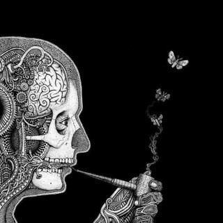 Animal Zone - Real Telegram