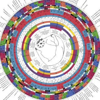 t.me/AstrologyTalk - Real Telegram