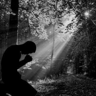 BACK TO LIGHT ️ - Real Telegram