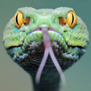 Be Not Deceived - Real Telegram