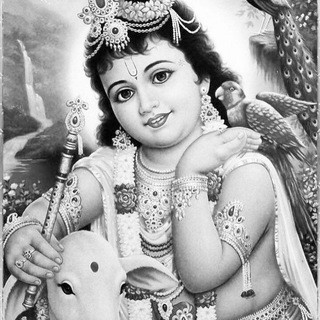 ALL GAME TIPPER - Real Telegram