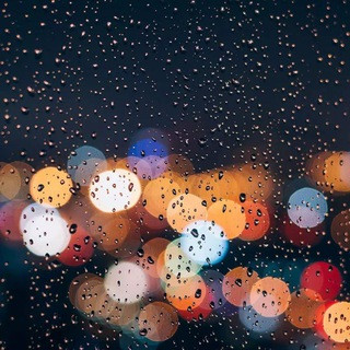 BET PRO - Real Telegram