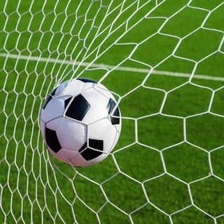 Bet Treasury - Real Telegram