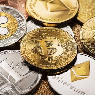 Binance crypto champions - Real Telegram