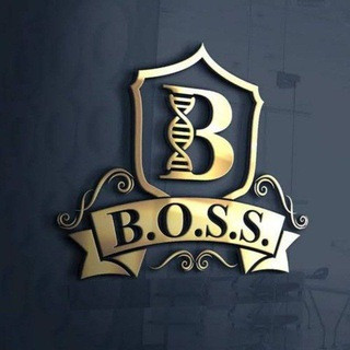 Binary Free Signals - Real Telegram