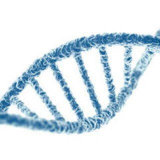 Bio Discussion - Real Telegram