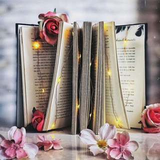 Books and Beyond - Real Telegram