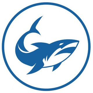 Bounty Shark - Real Telegram