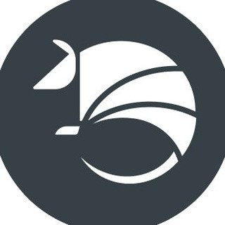 BROXUS NEWS - Real Telegram