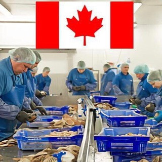 Jobs In Canada - Real Telegram