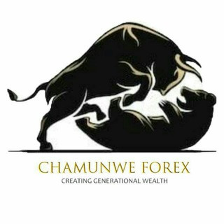 *Chamunwe Forex* - Real Telegram