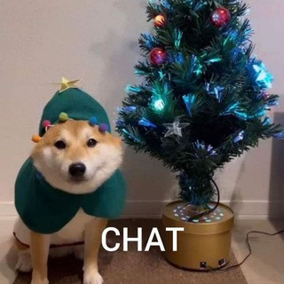 me_irl Chat - Real Telegram