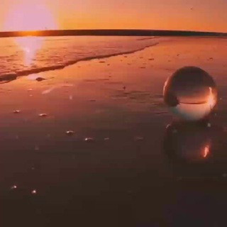 FRIENDS_FOREVER - Real Telegram