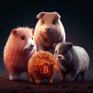 News Crypto currency. ICO. - Real Telegram