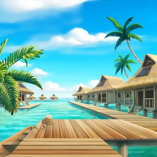 COIN GROUP - Real Telegram