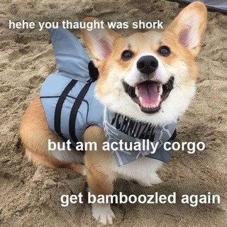 CORGOS - Real Telegram