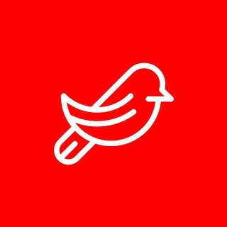 CourseFinding - Real Telegram