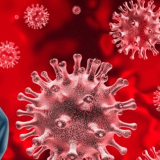 COVID Canada News - CCN - Real Telegram