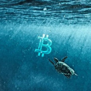 Crypto Sea & Cryptocurrencies «News» - Real Telegram