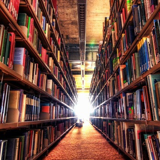 DailyBook - Real Telegram