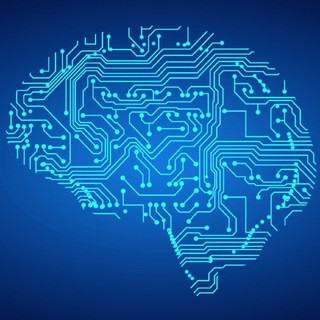 DS/ML - Real Telegram