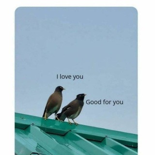 English Songs & Lyrics - Real Telegram