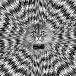 Illusion of deception - Real Telegram