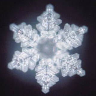 FLAT EARTH AND MORE - Real Telegram