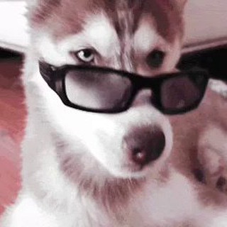 Fluffs! - Real Telegram