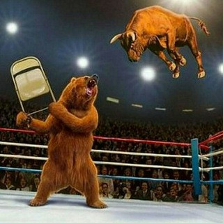 Forex Signals Daily Trading - Real Telegram