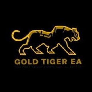 Forex tiger - Real Telegram