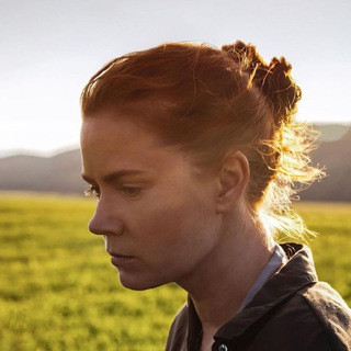 Hollywood Club - Real Telegram