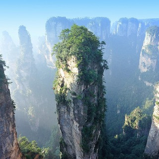 Interesting facts - Real Telegram