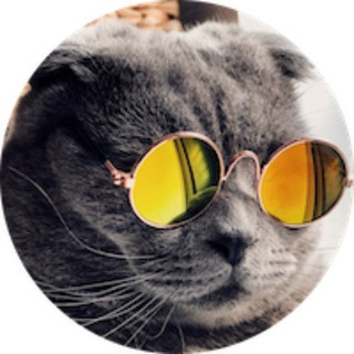 by KittySwap.org - Real Telegram