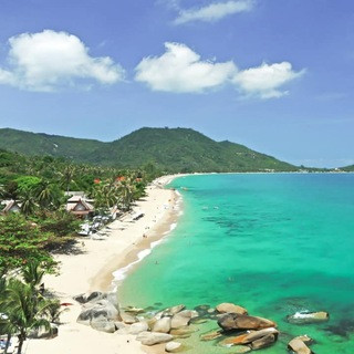 Koh Samui community - Real Telegram